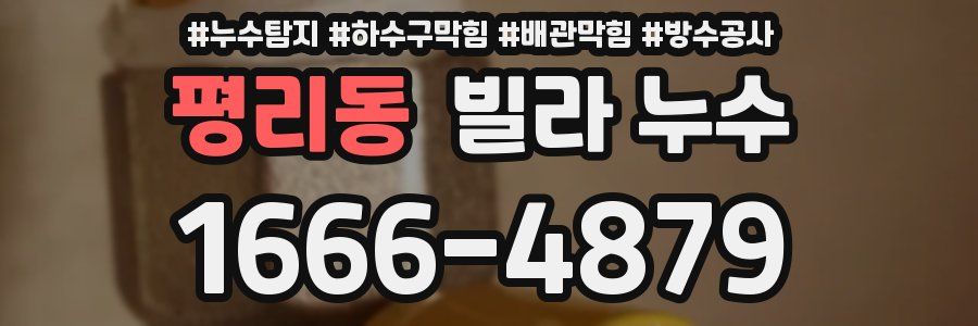 평리동 빌라 누수