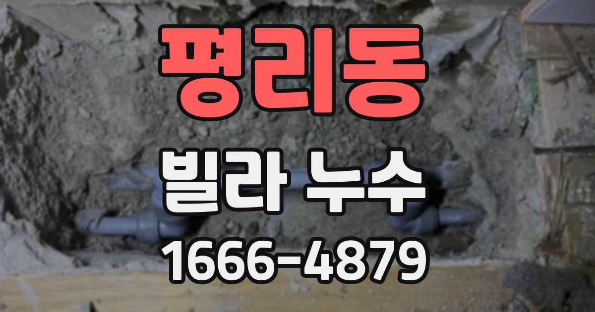 평리동 빌라 누수
