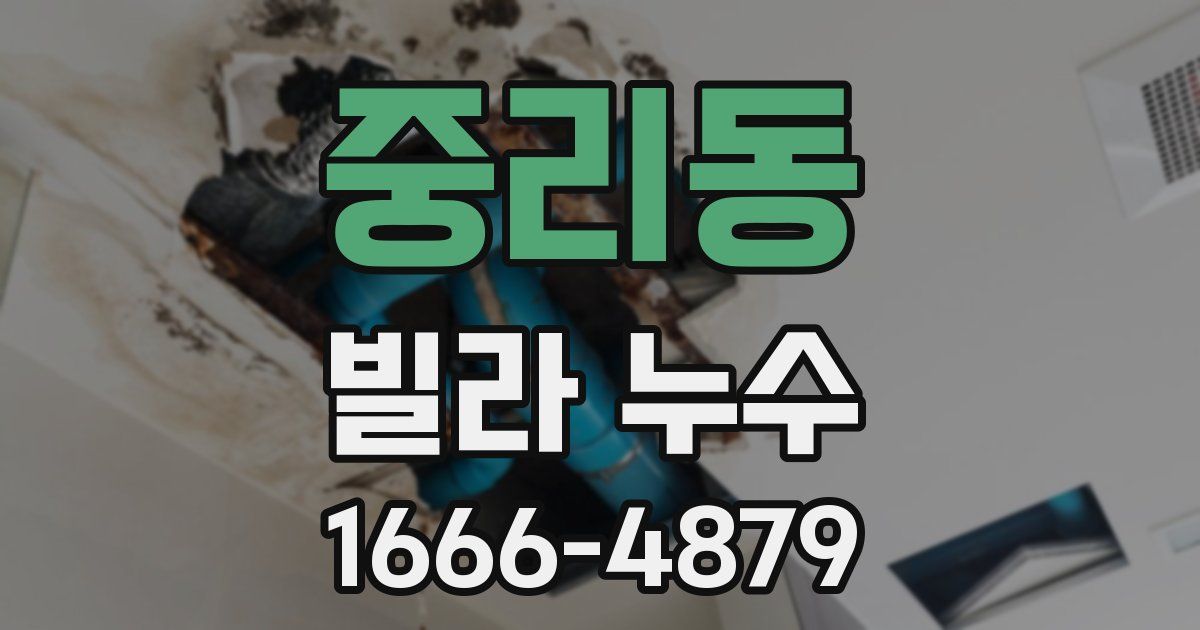 중리동 빌라 누수