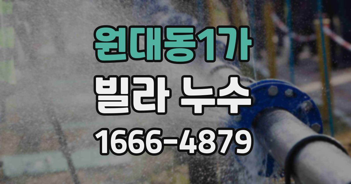 원대동1가 빌라 누수
