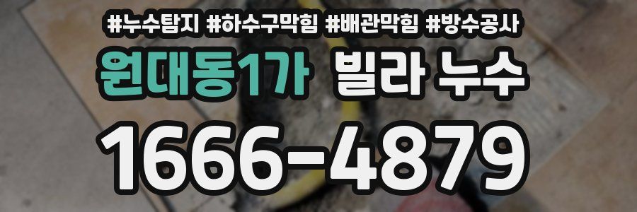 원대동1가 빌라 누수