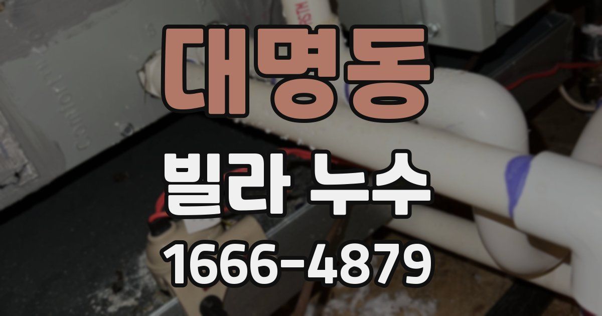 대명동 빌라 누수