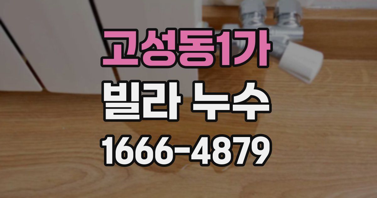 고성동1가 빌라 누수