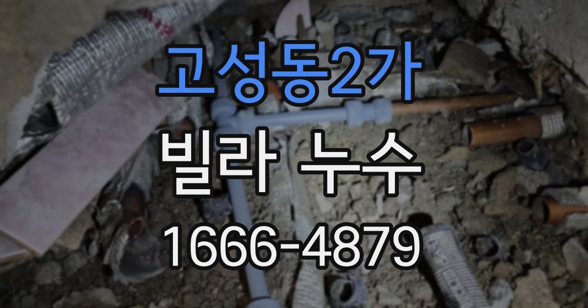고성동2가 빌라 누수