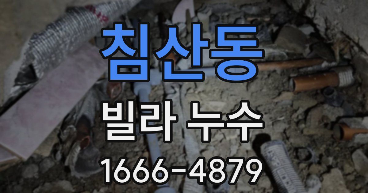침산동 빌라 누수