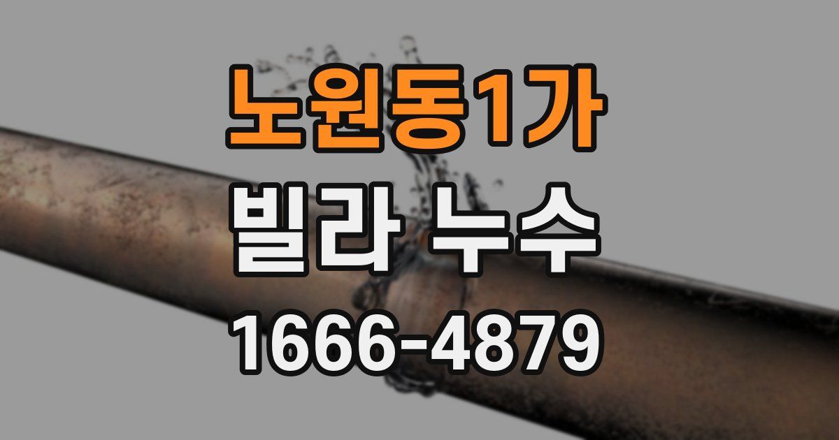 노원동1가 빌라 누수