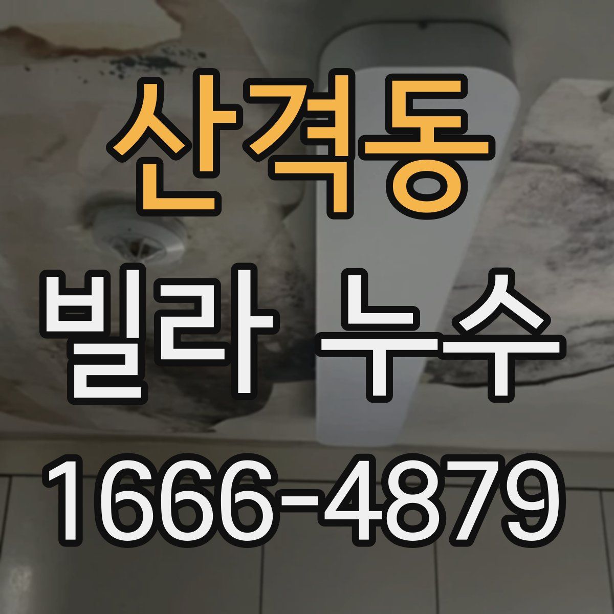 산격동 빌라 누수
