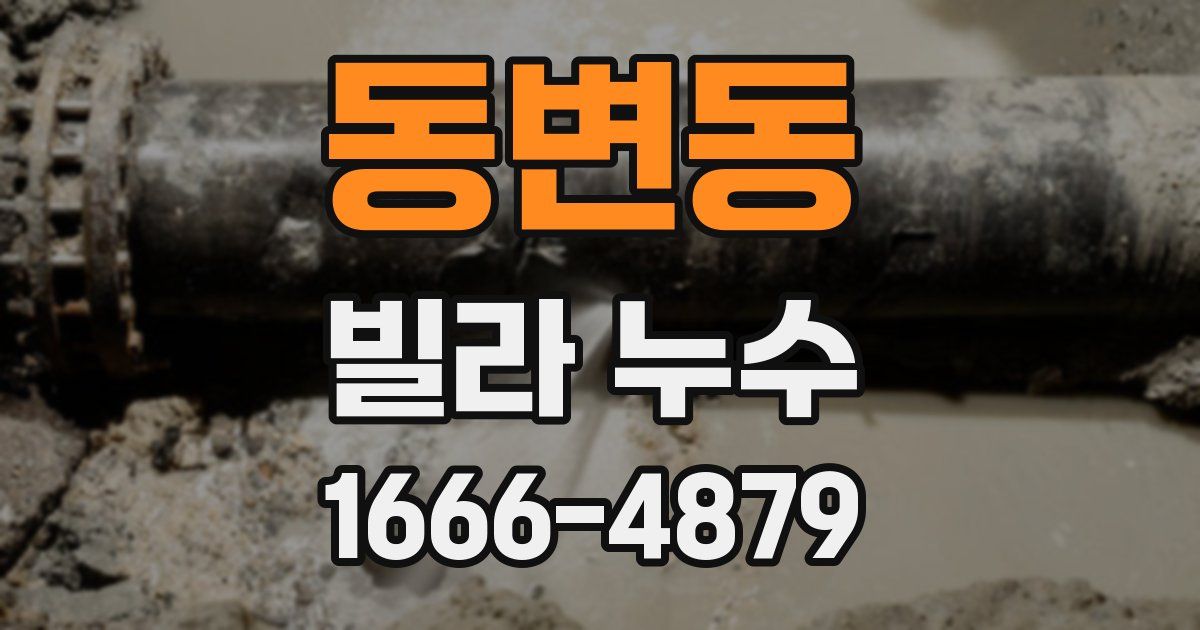 동변동 빌라 누수