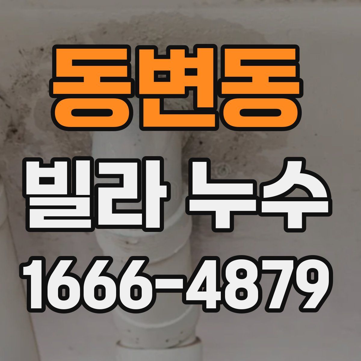 동변동 빌라 누수