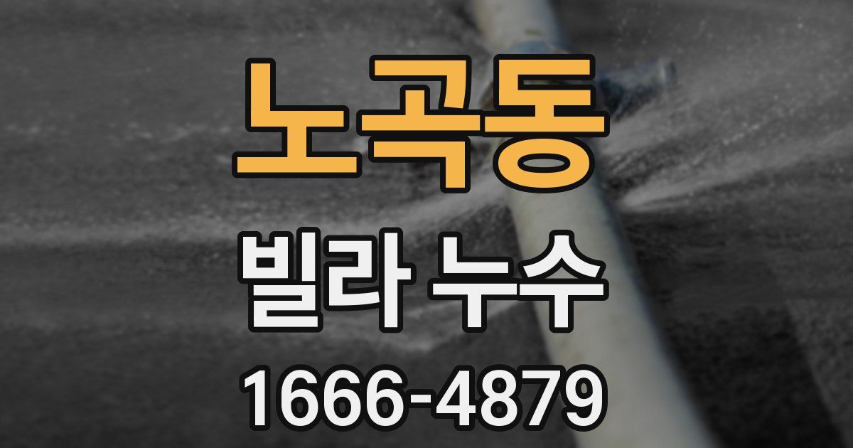 노곡동 빌라 누수