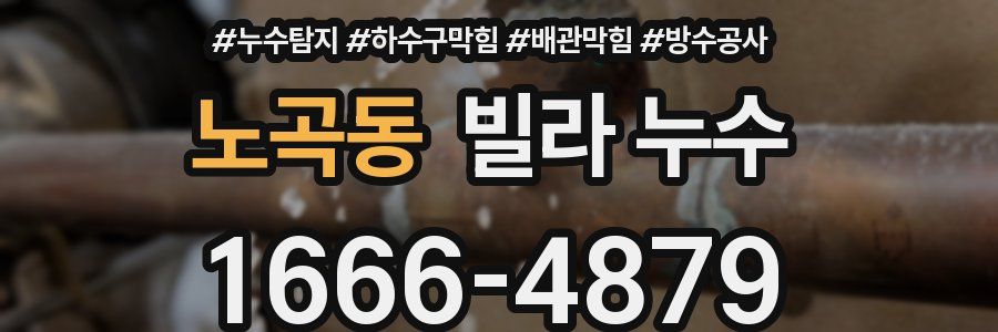 노곡동 빌라 누수