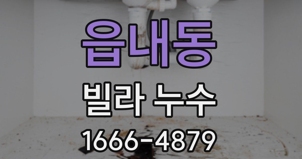 읍내동 빌라 누수