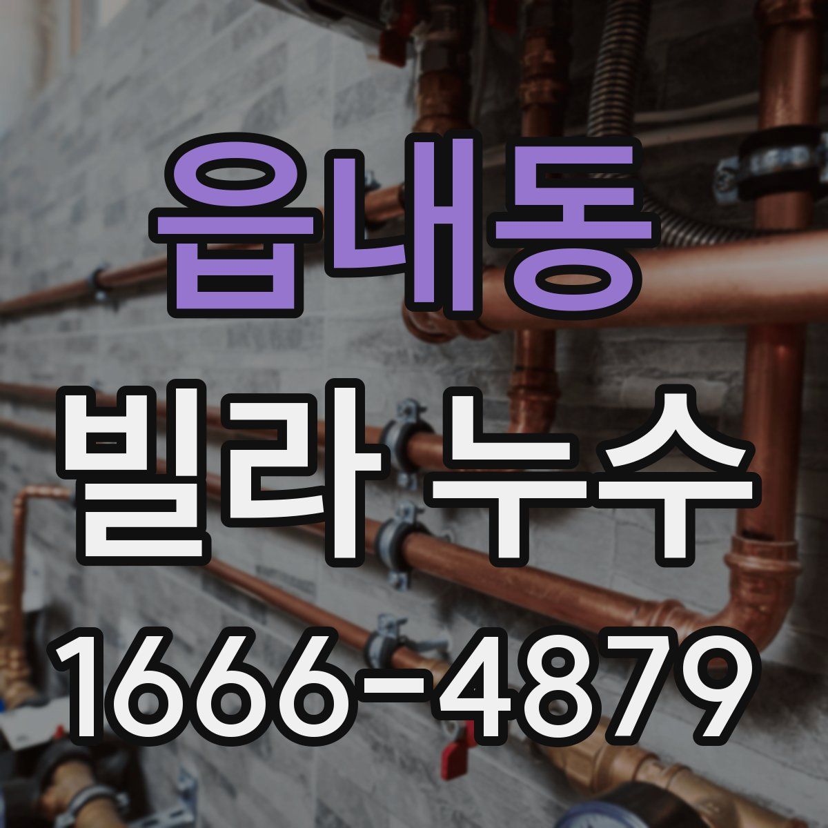 읍내동 빌라 누수