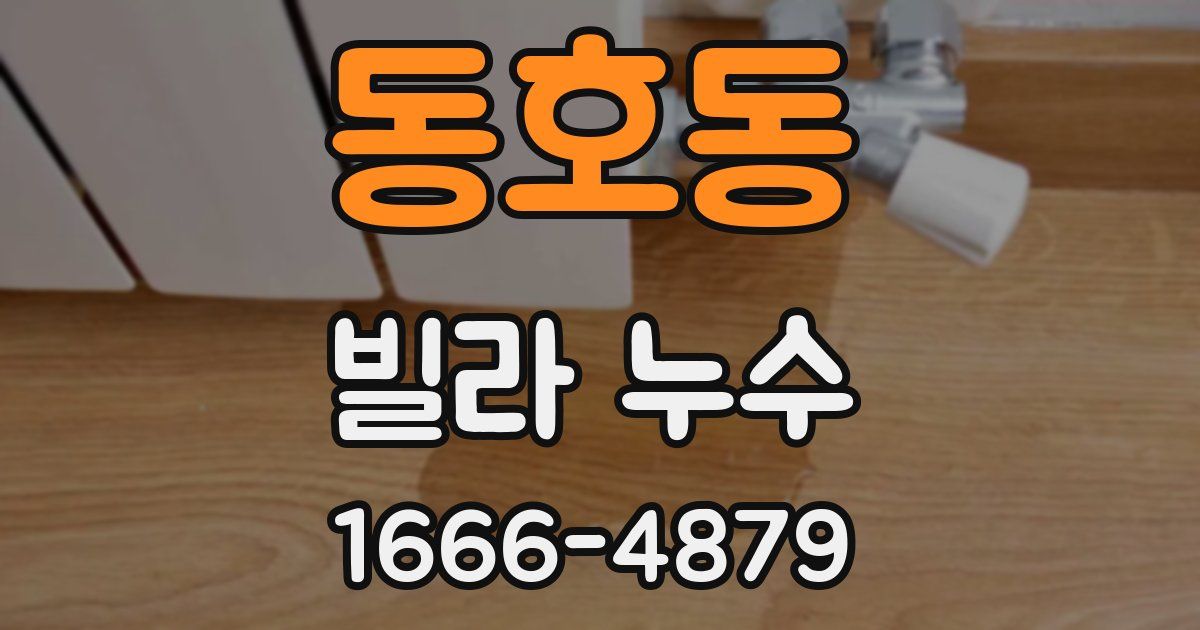 동호동 빌라 누수
