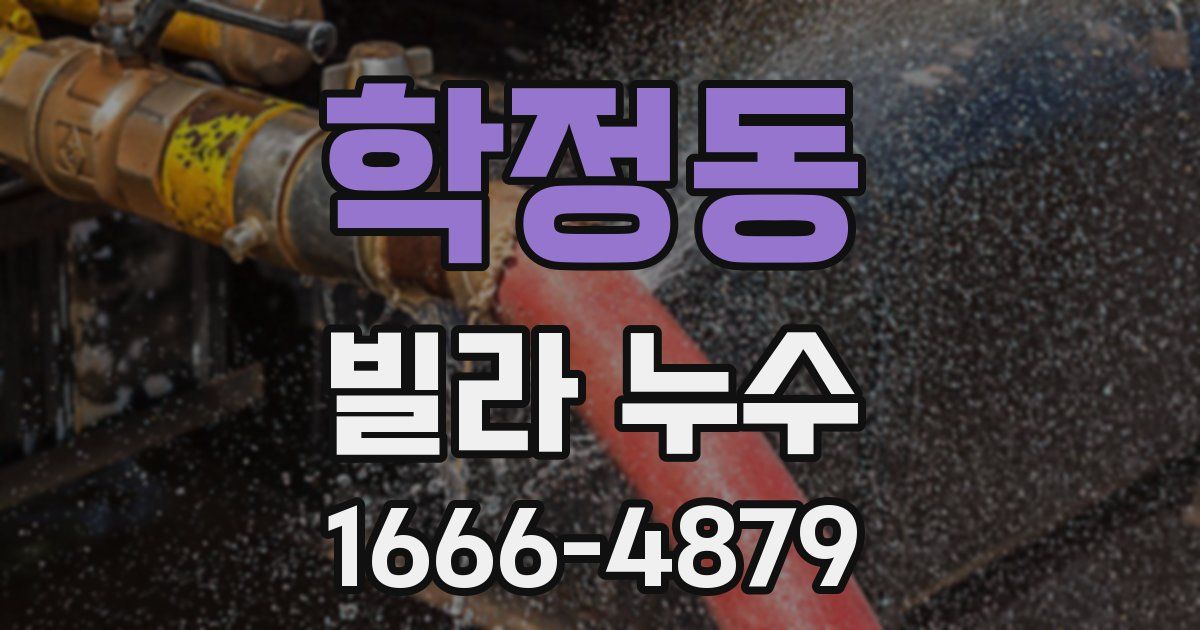 학정동 빌라 누수