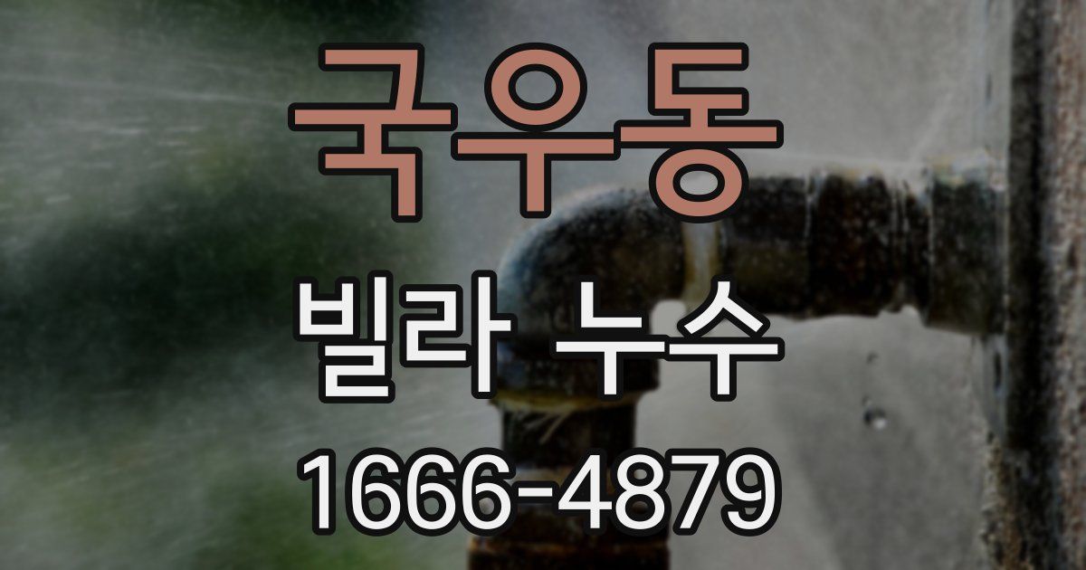 국우동 빌라 누수