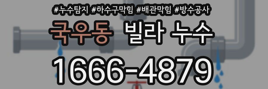 국우동 빌라 누수