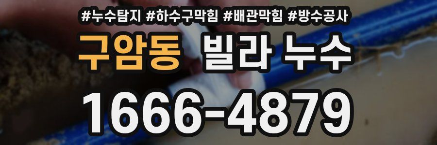 구암동 빌라 누수
