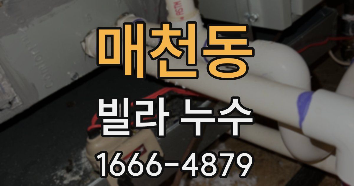 매천동 빌라 누수