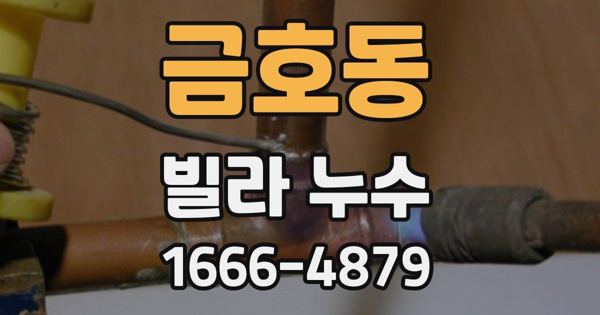 금호동 빌라 누수