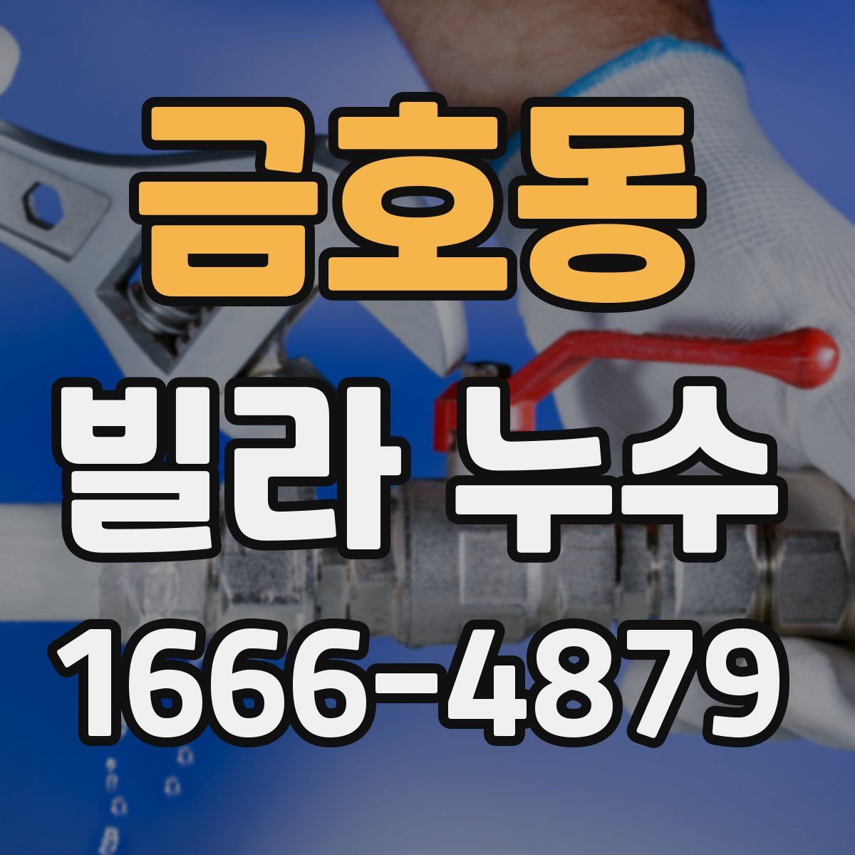 금호동 빌라 누수