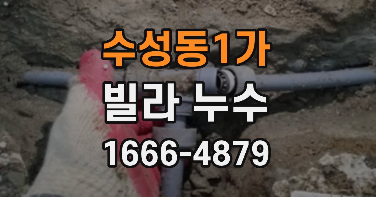 수성동1가 빌라 누수