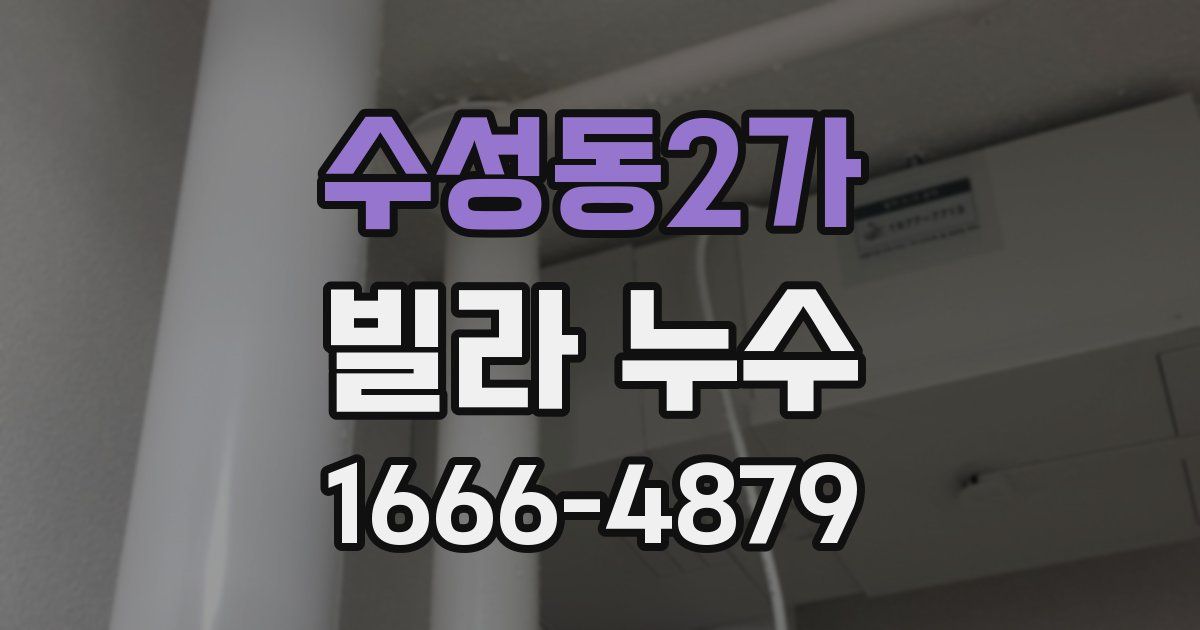 수성동2가 빌라 누수