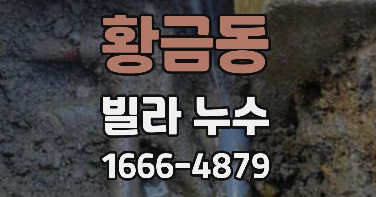 황금동 빌라 누수