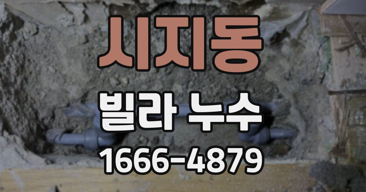 시지동 빌라 누수
