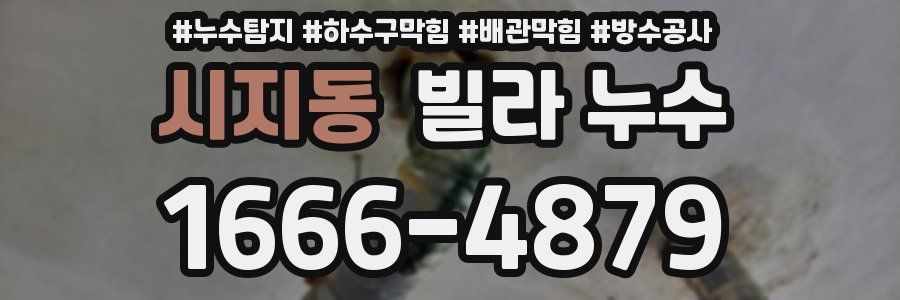 시지동 빌라 누수