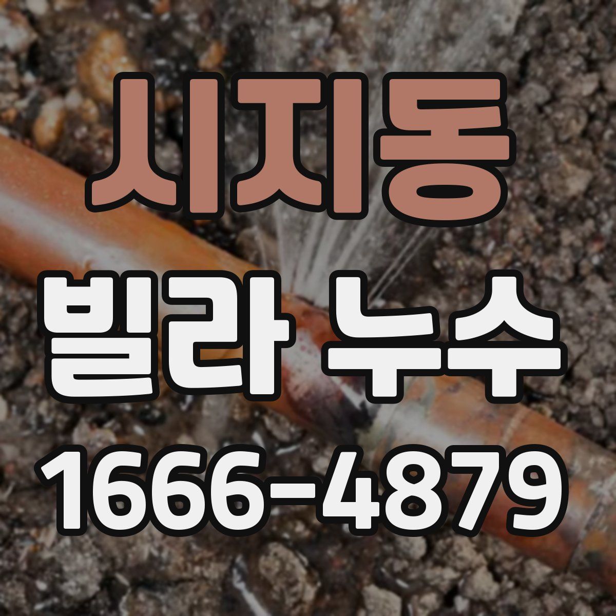 시지동 빌라 누수
