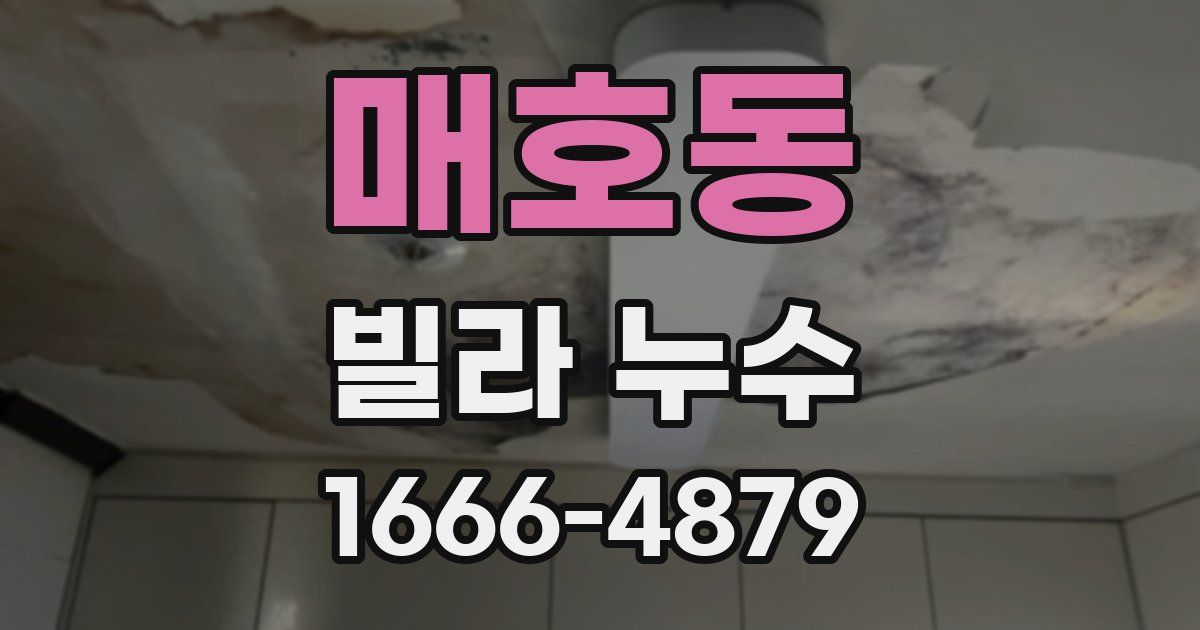 매호동 빌라 누수