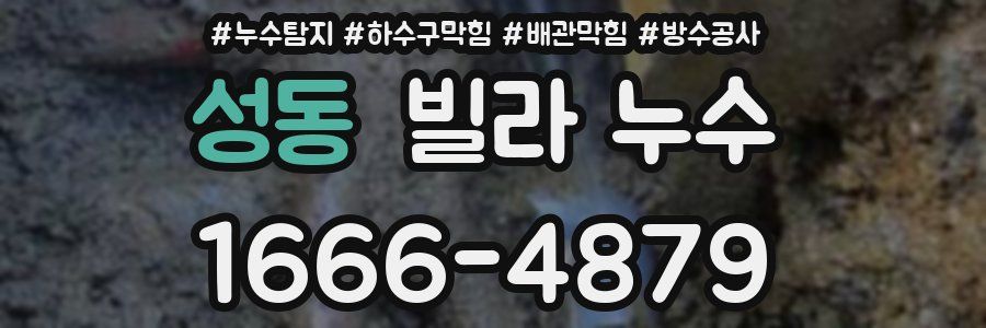 성동 빌라 누수