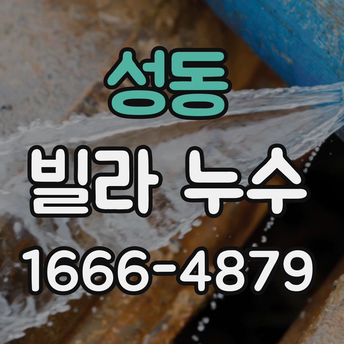 성동 빌라 누수