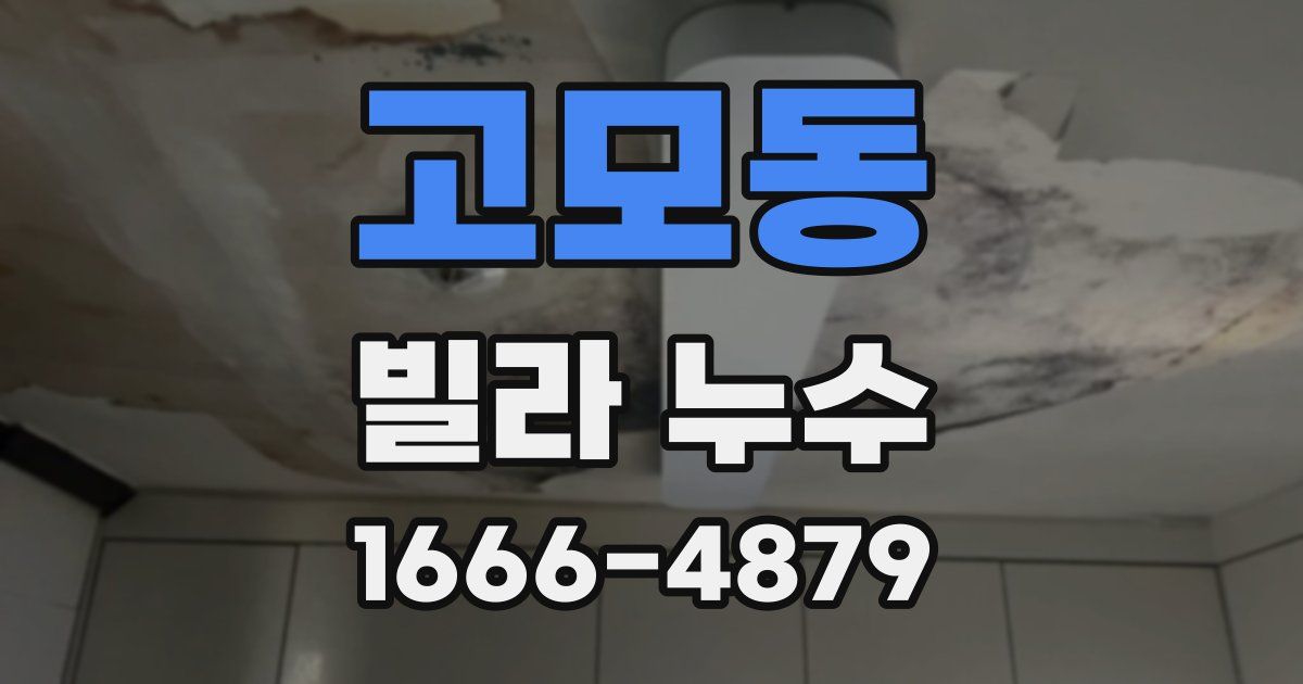 고모동 빌라 누수