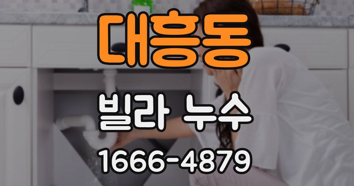 대흥동 빌라 누수