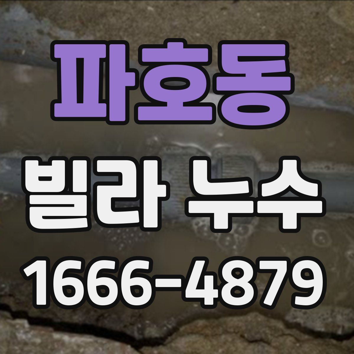 파호동 빌라 누수