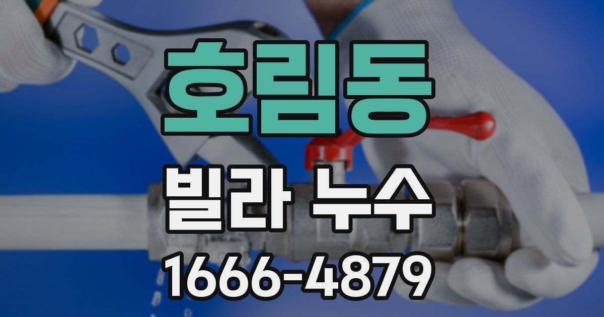 호림동 빌라 누수