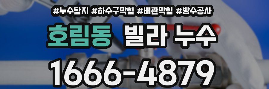 호림동 빌라 누수