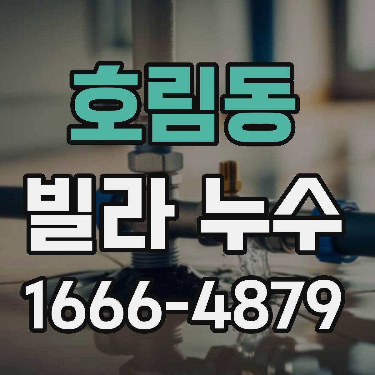 호림동 빌라 누수