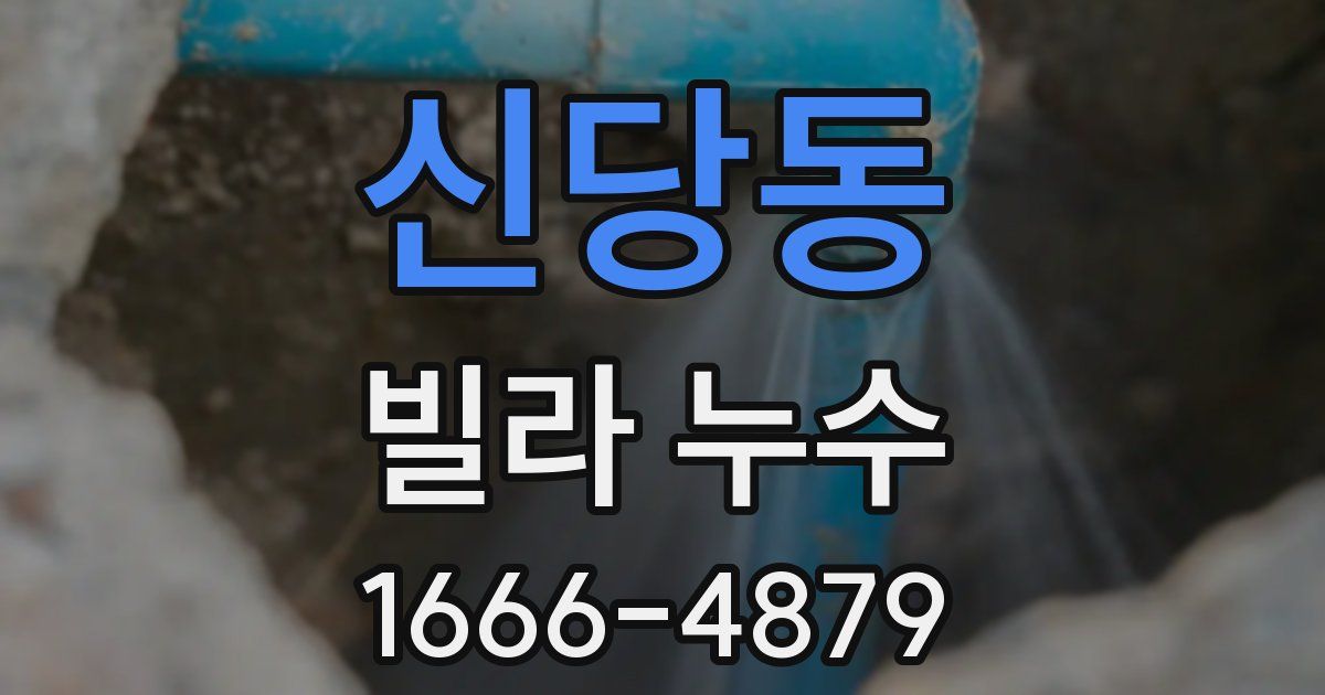 신당동 빌라 누수