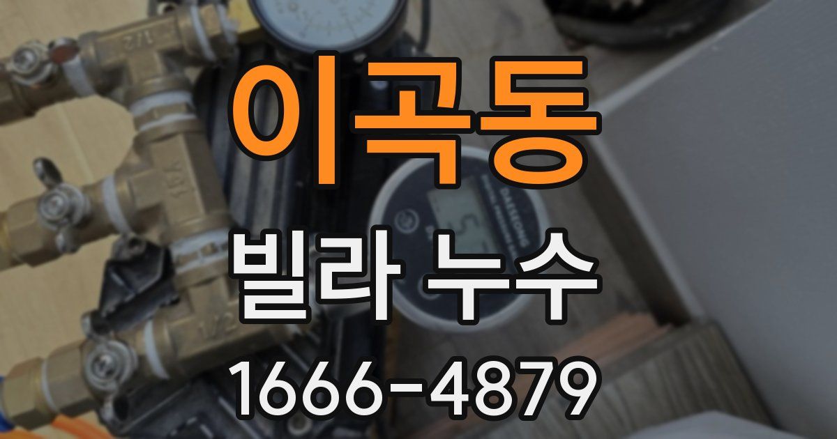 이곡동 빌라 누수
