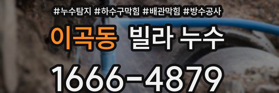 이곡동 빌라 누수