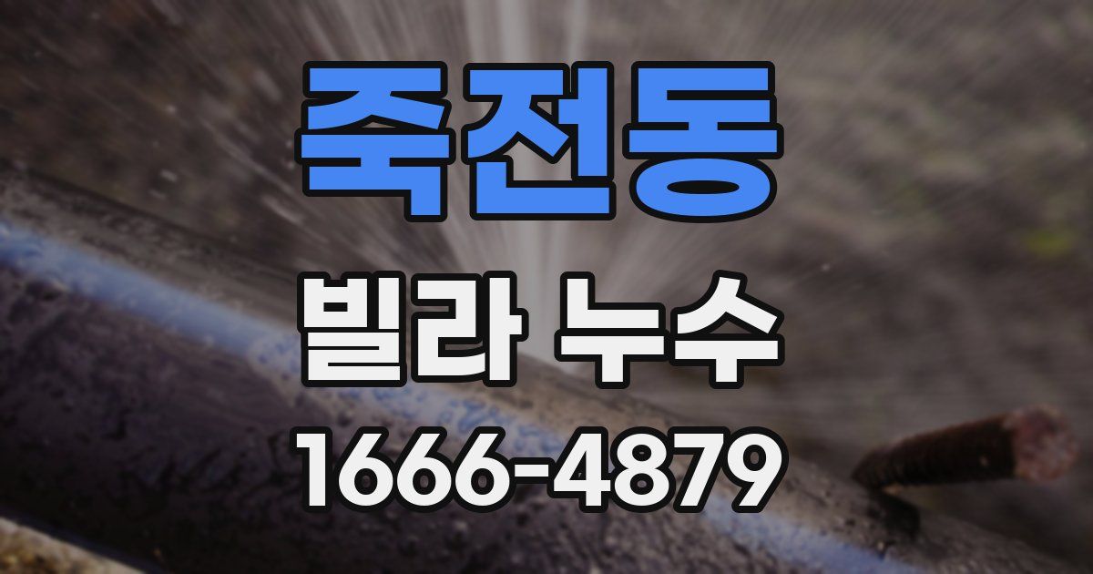 죽전동 빌라 누수
