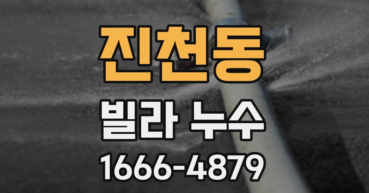 진천동 빌라 누수