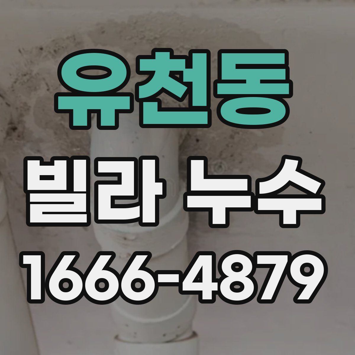 유천동 빌라 누수
