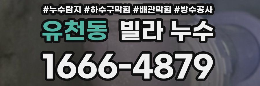 유천동 빌라 누수
