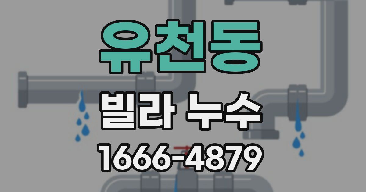 유천동 빌라 누수