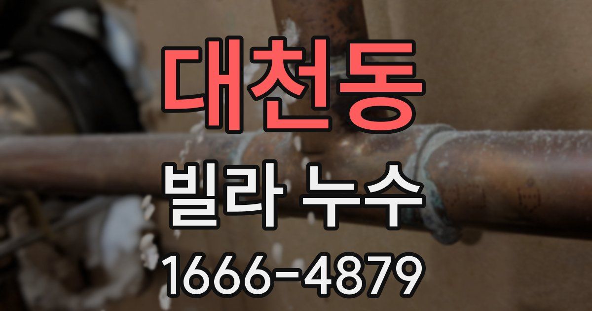 대천동 빌라 누수