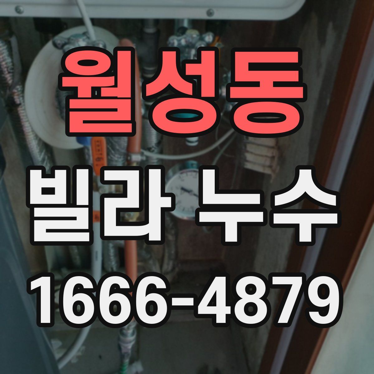 월성동 빌라 누수